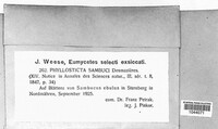 Boeremia exigua image